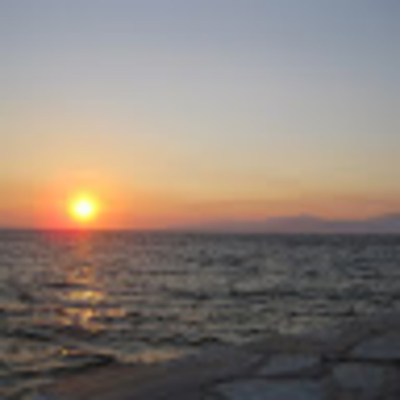 Meet your Posher, Emily - Picture 1 of 1